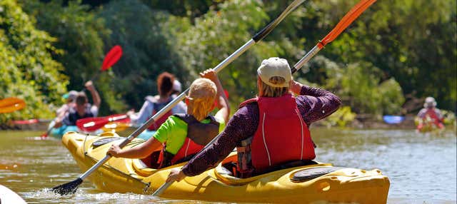 Tour en kayak por el Adriático y el río Žrnovnica