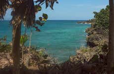 Excursão ao Parque Nacional Alejandro Humboldt