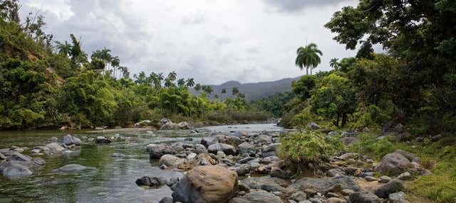 Escursione alla Riserva Naturale El Yunque