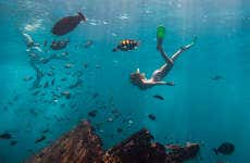 Snorkeling à La Havane