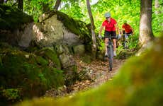 Balade à vélo dans la forêt de La Havane