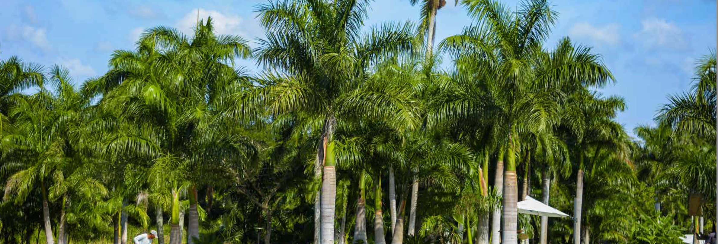 Tour por la finca La Burgambilia