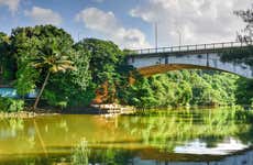 Visita guiada pelo Parque Almendares