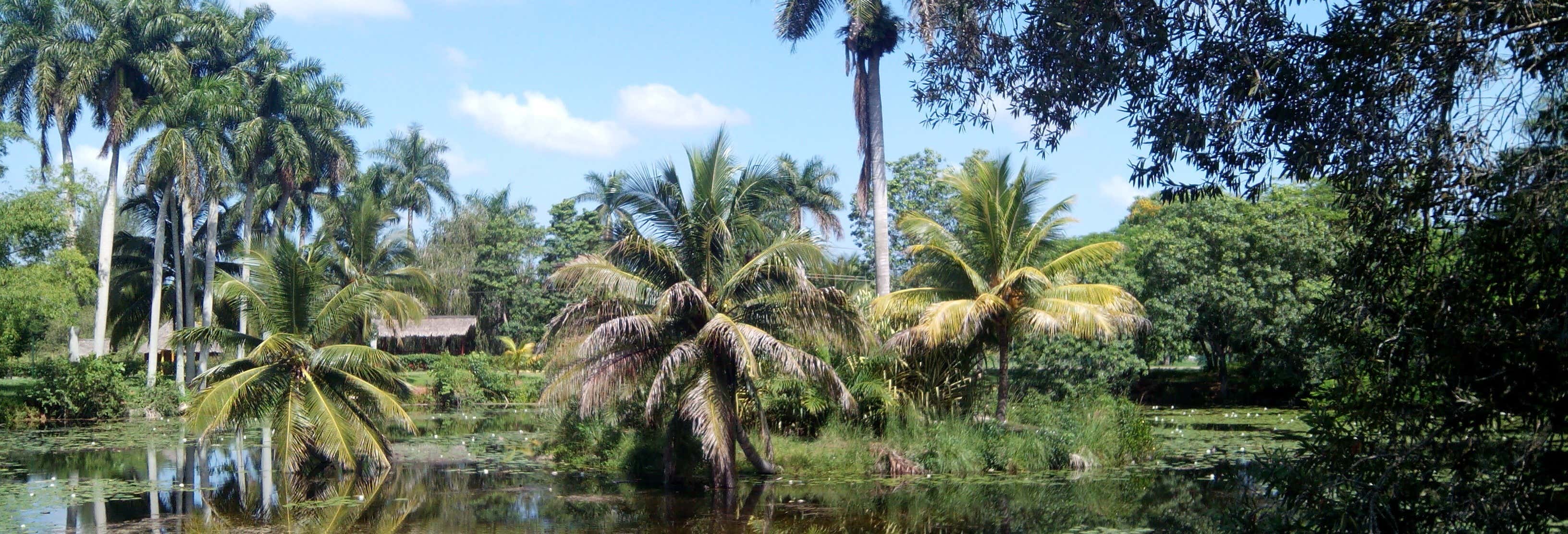 Tour de aventura por el río Hatiguanico y Guamá desde Varadero