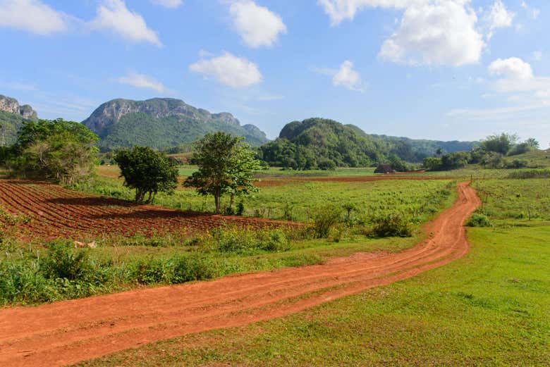 Los Acuaticos Sunrise Hike in Viñales National Park