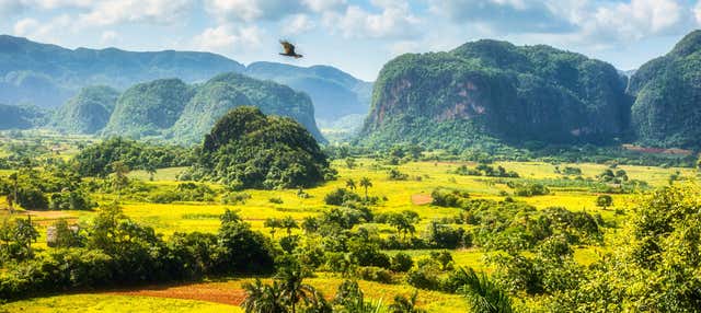 Trilha ao entardecer pelo Valle del Silencio