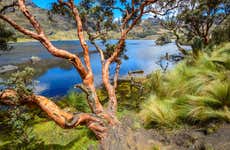 Excursion au Parc National El Cajas