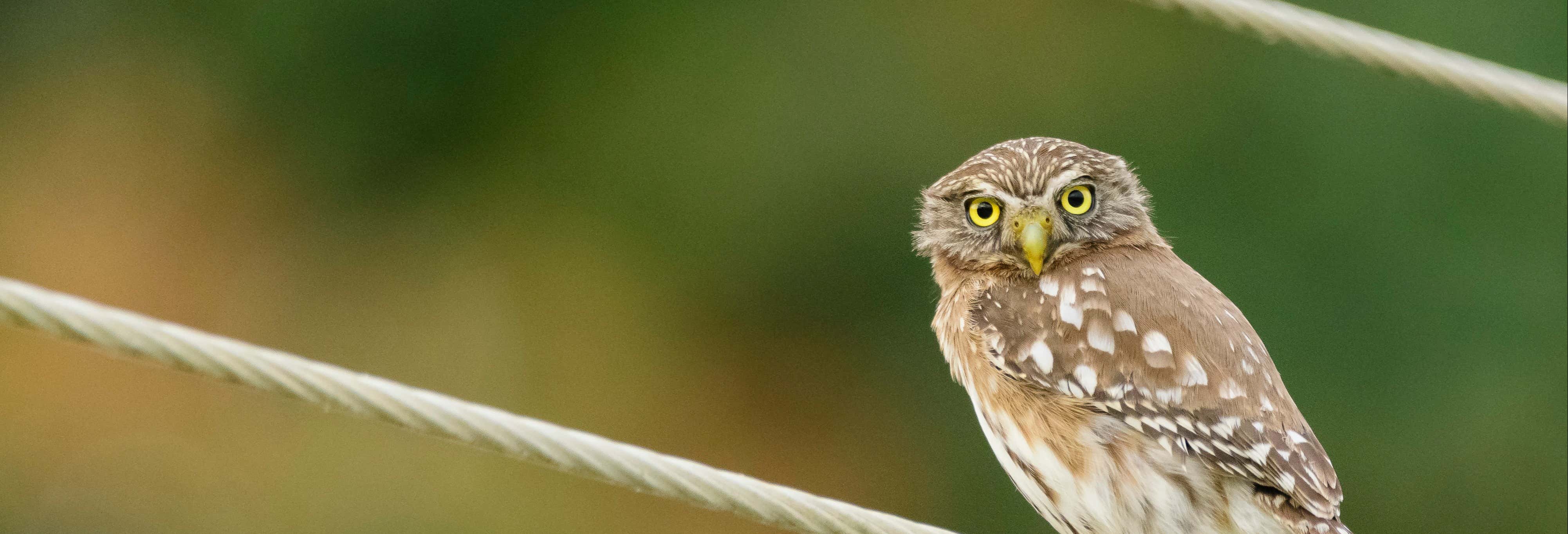 Excursão à reserva ecológica Manglares Churute