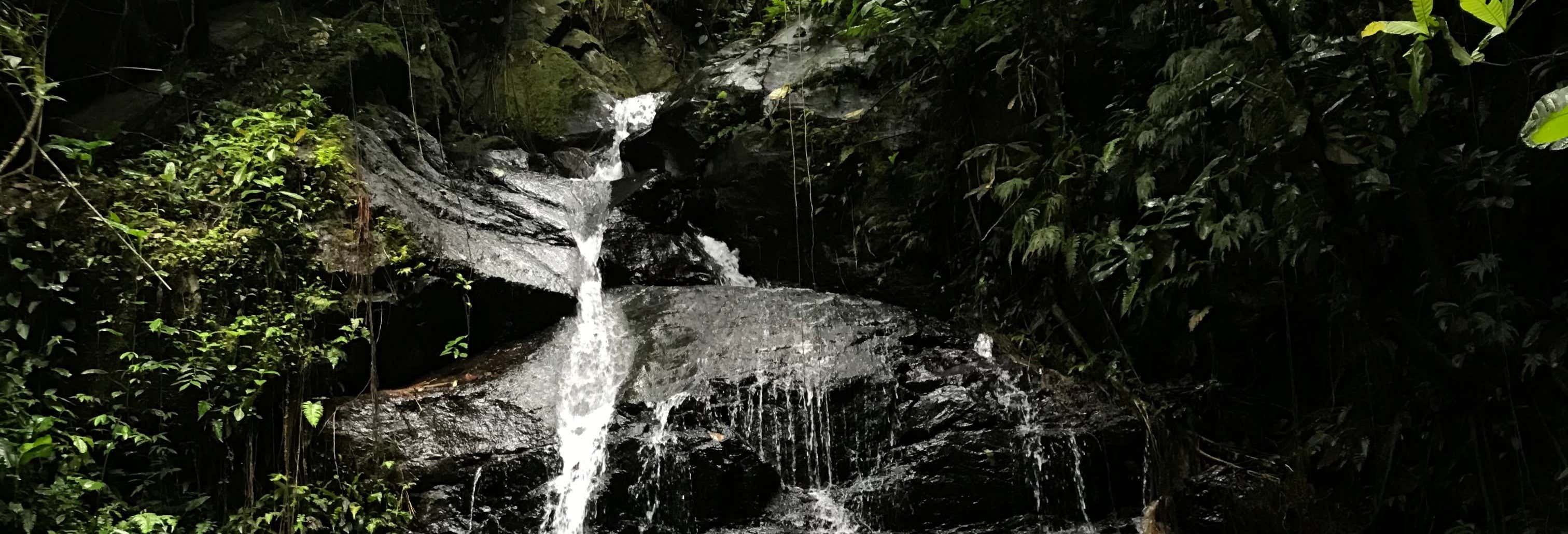 Excursão às Sete Cascatas de Naranjal