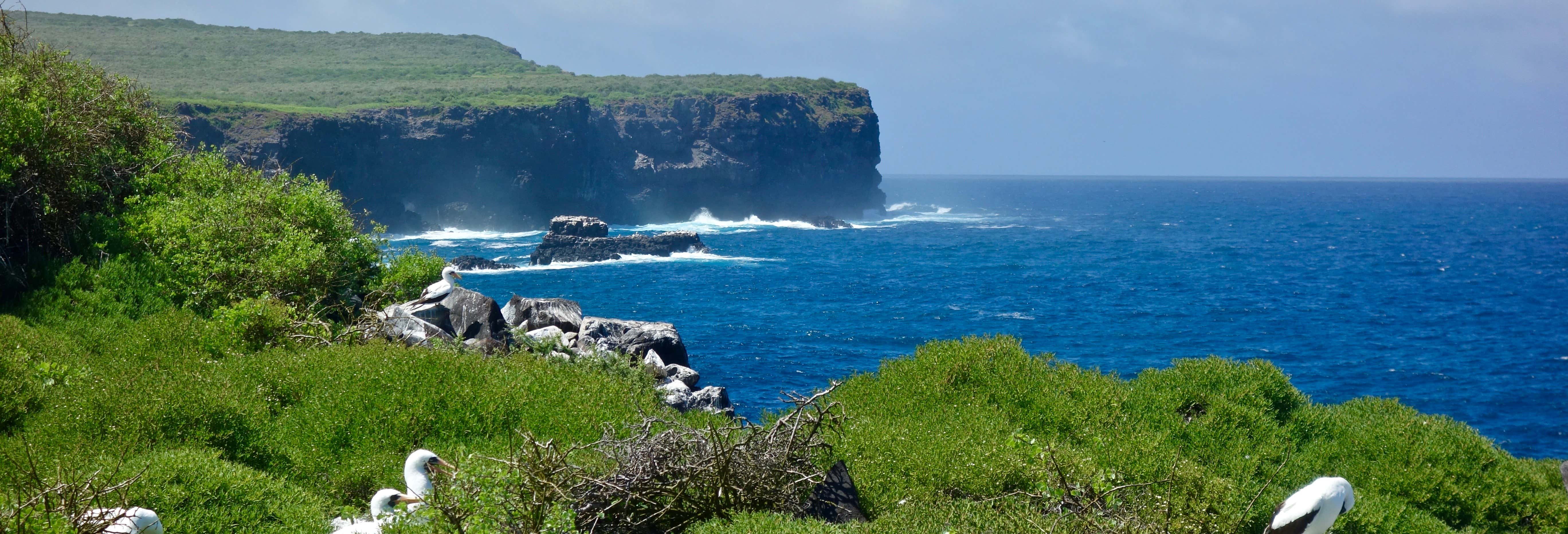 Escursione a Hispaniola
