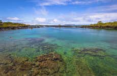Concha Perla Bay Tour