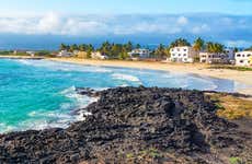 Tour completo de Ilha Isabela