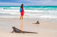 Tortuga Bay Day Trip