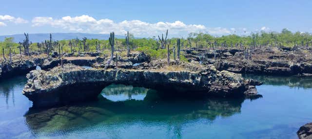 Excursão à Ilha Isabela