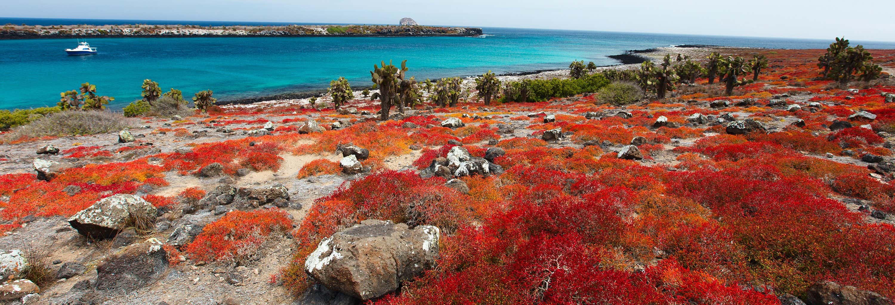 Excursión a la isla Plaza Sur