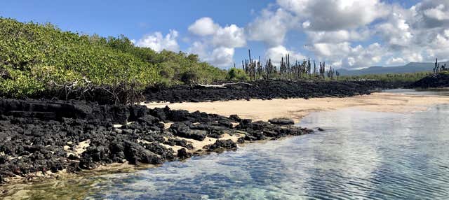 North Seymour Island Tour