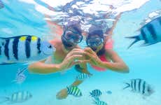 Snorkel na Ilha de Santa Fé