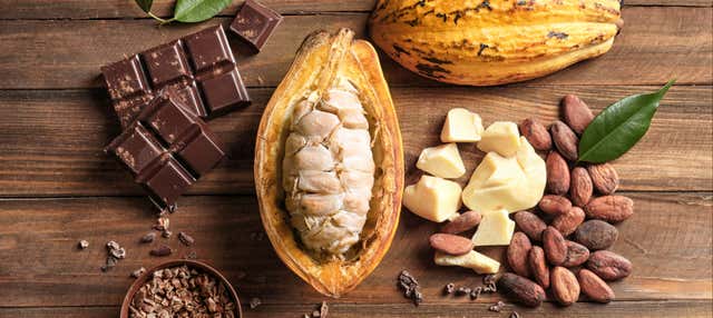 Visita a una fábrica de chocolate