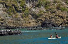 Excursión a Isla Salango