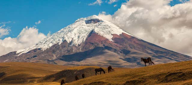Excursão a Cotopaxi e Quilotoa