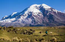 Excursion au volcan Chimborazo