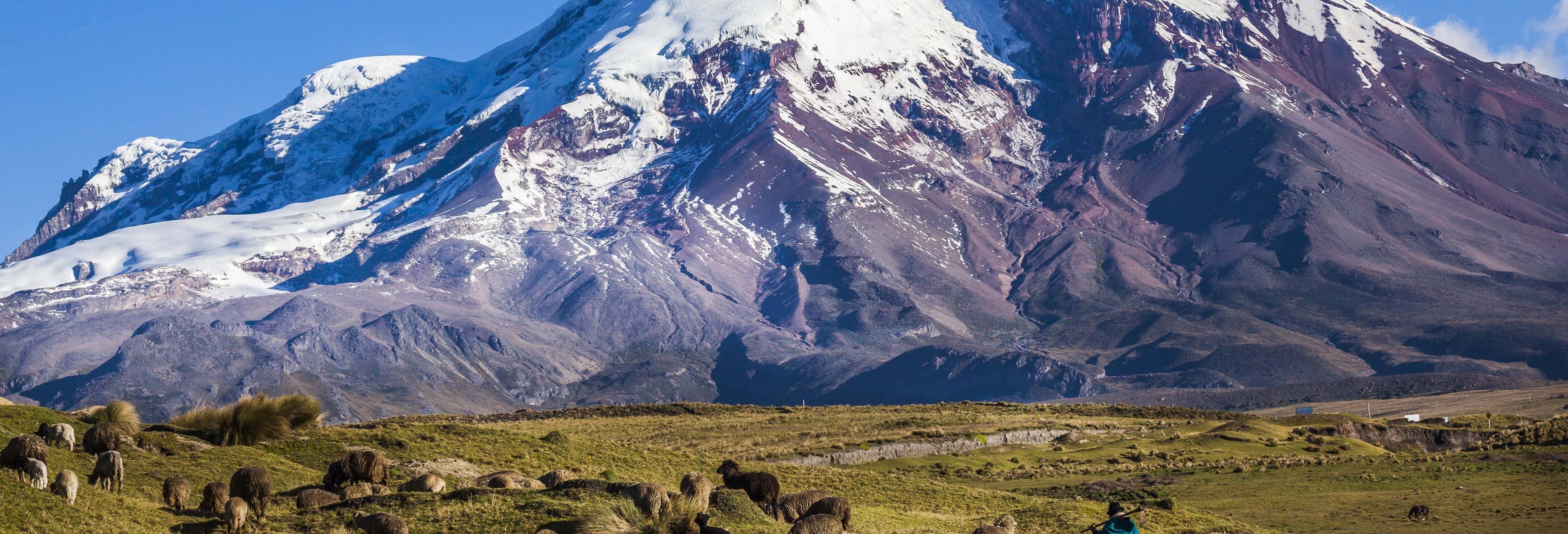 Escursione al Vulcano Chimborazo