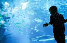 Biglietti per l'acquario di Hurghada con trasporto
