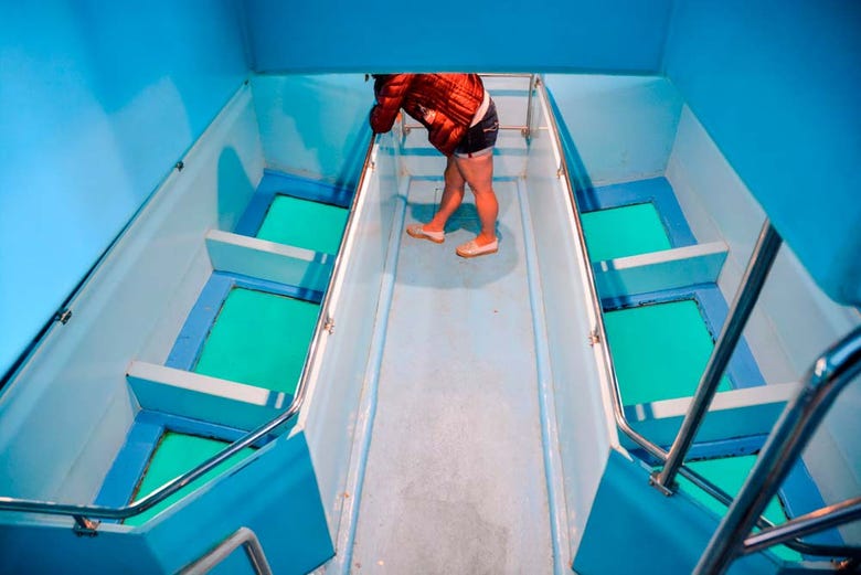 Glass bottomed boat tour