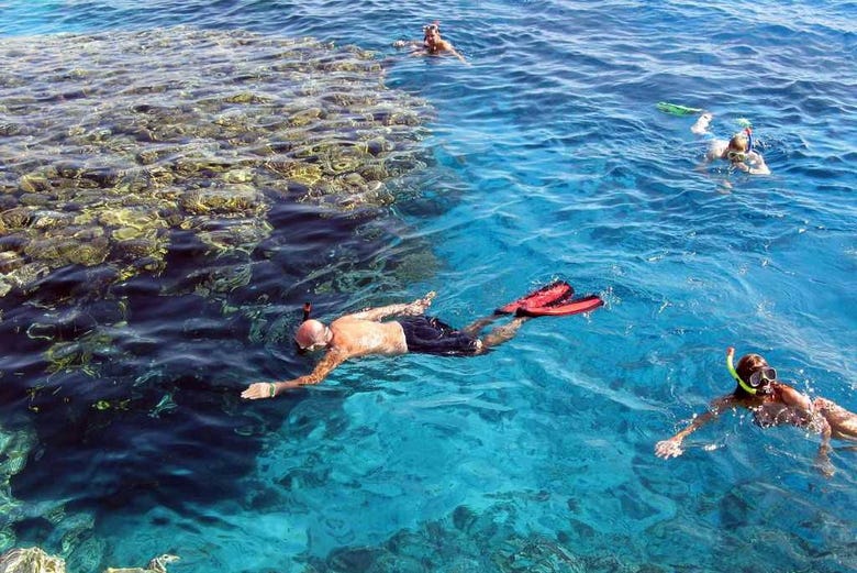 Haciendo snorkel en la isla Utopía