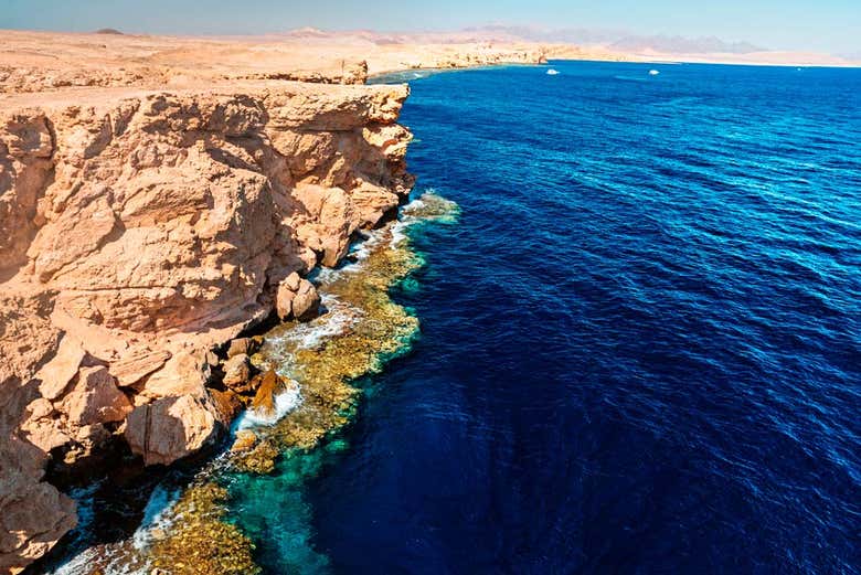 Snorkel in the Ras Mohamed National Park from Sharm El Sheikh, Sharm el Sheikh