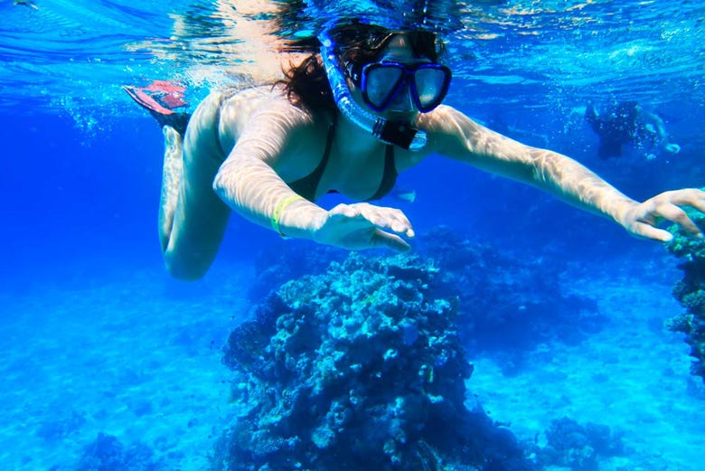 Praticando snorkel na Ilha Tiran