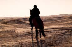 Paseo a caballo por Sharm el-Sheij