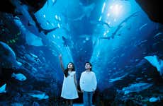 Biglietti per Dubai Aquarium