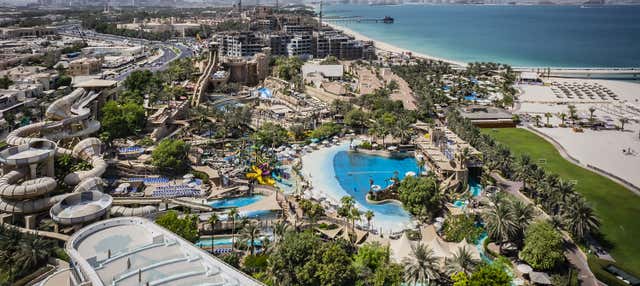 Wild Wadi Water Park Ticket