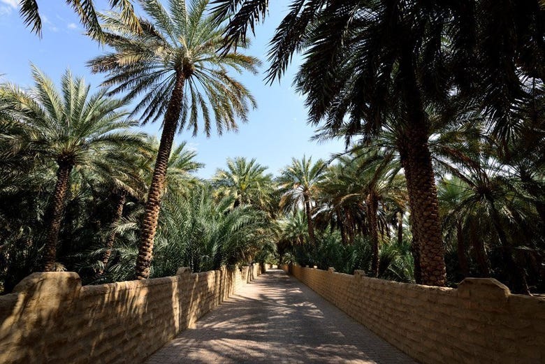 L'un des oasis d'Al Aïn