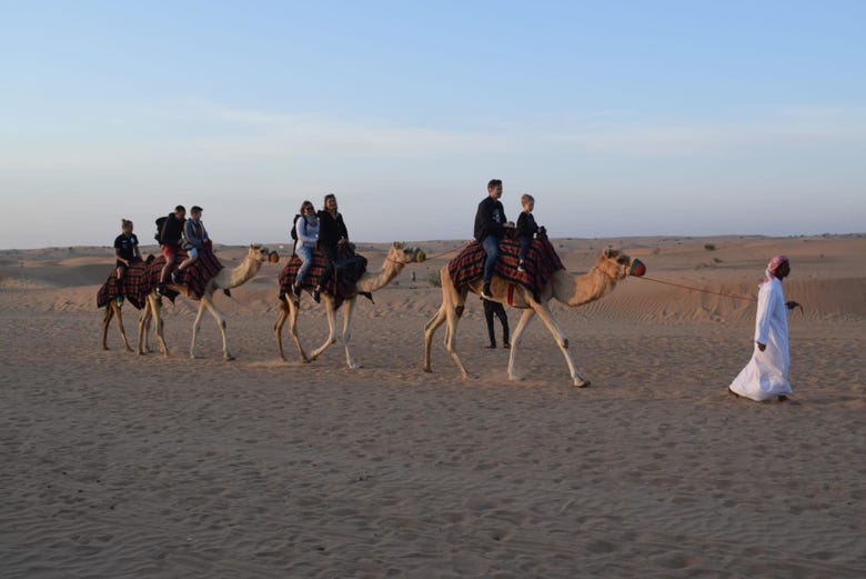 Exploring the Dubai desert on camelback