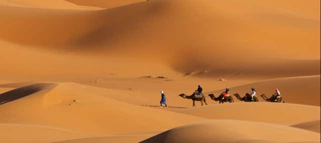 Dubai Desert Camel Ride with Dinner & Show