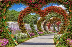 Tour por el Mariposario de Dubái y el Jardín del Milagro