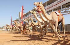 Visite du Royal Camel Racing Club