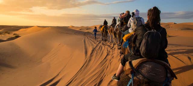 Ras al Khaimah Desert Camel Ride