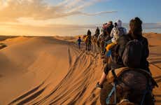 Ras al Khaimah Desert Camel Ride