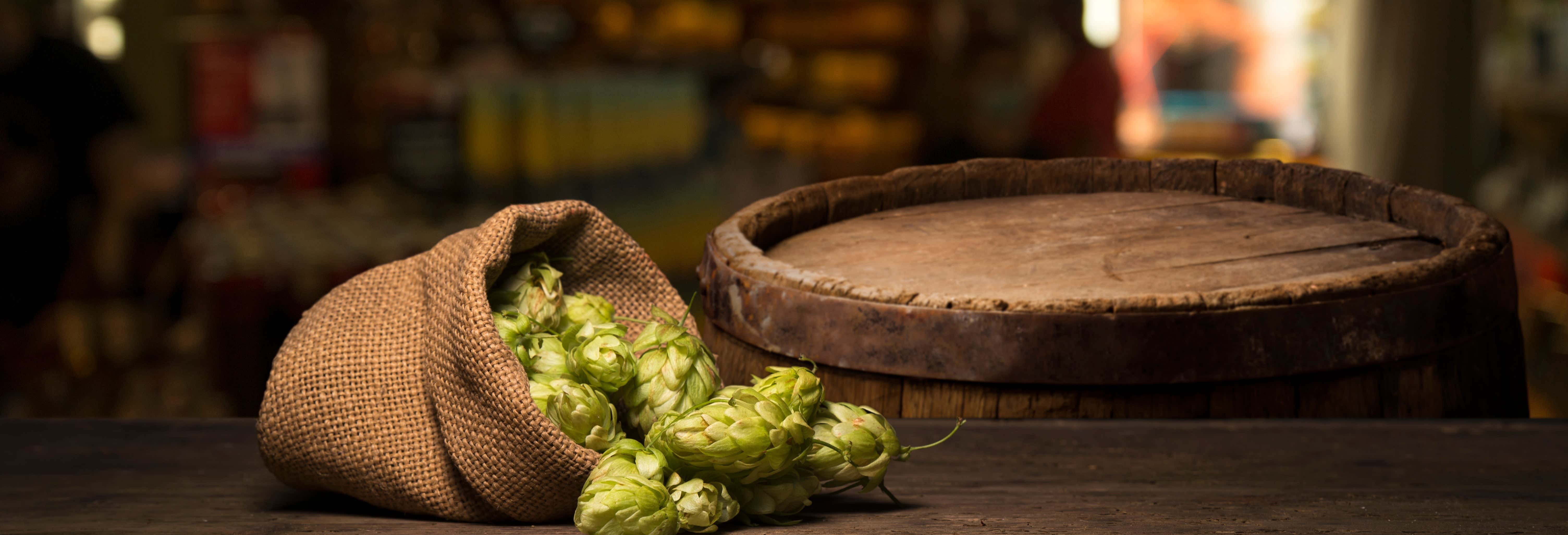 Cata de cerveza artesanal