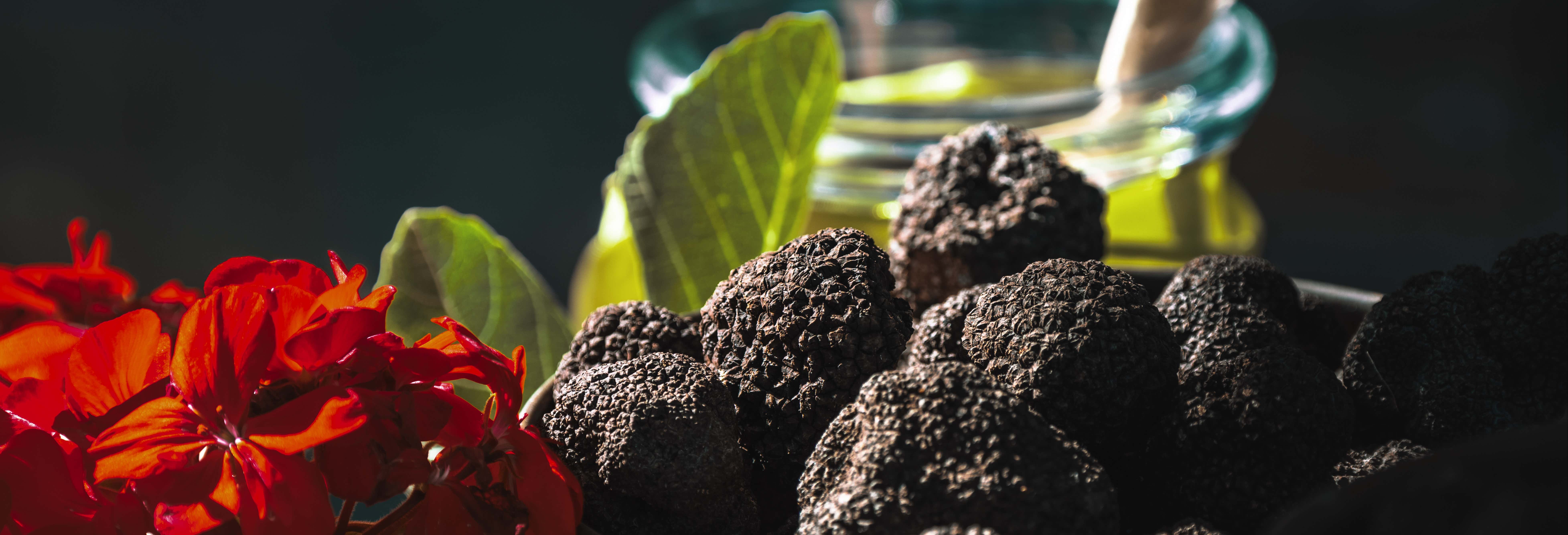Visite gastronomique d'Istrie