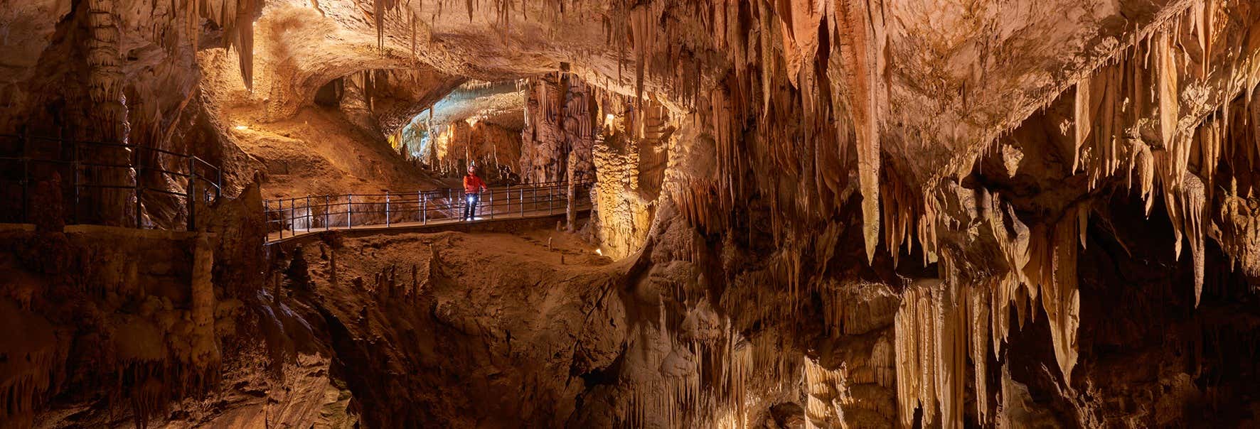 Excursión a la cueva Postojna y castillo de Predjama