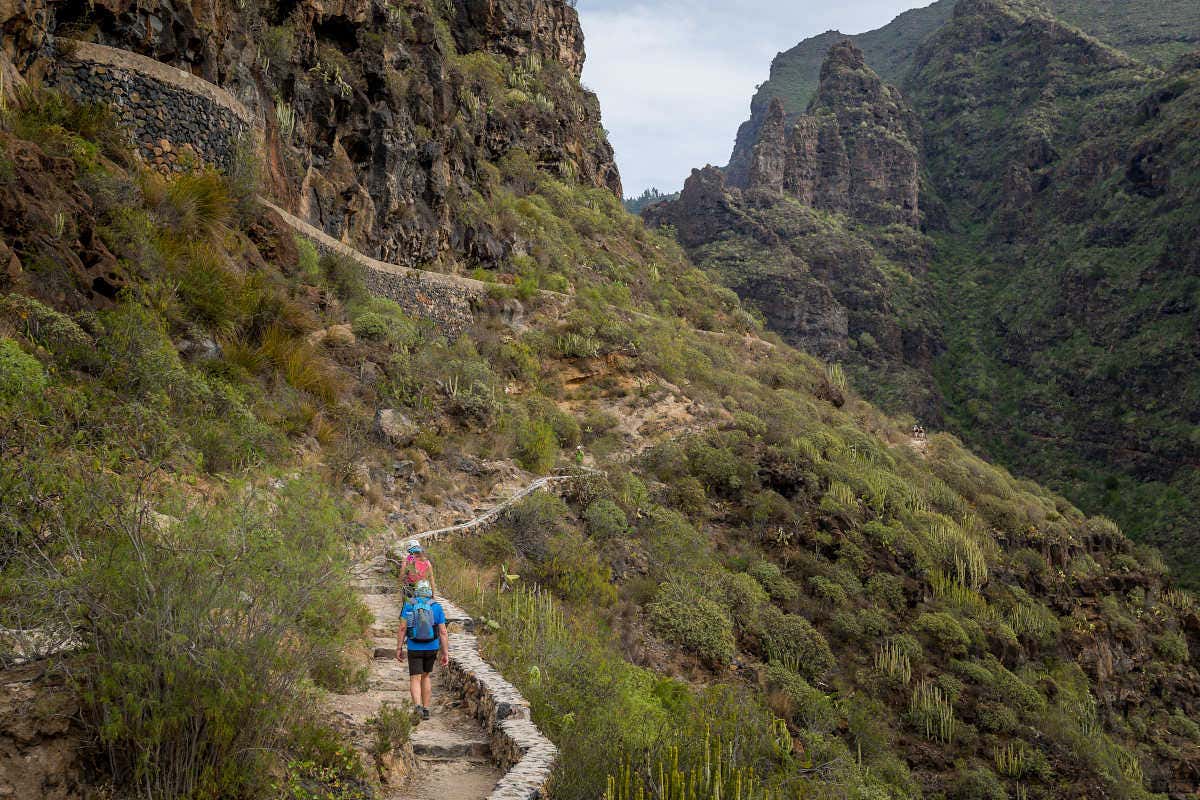 Tour por Adeje + Barranco del Infierno desde Tenerife
