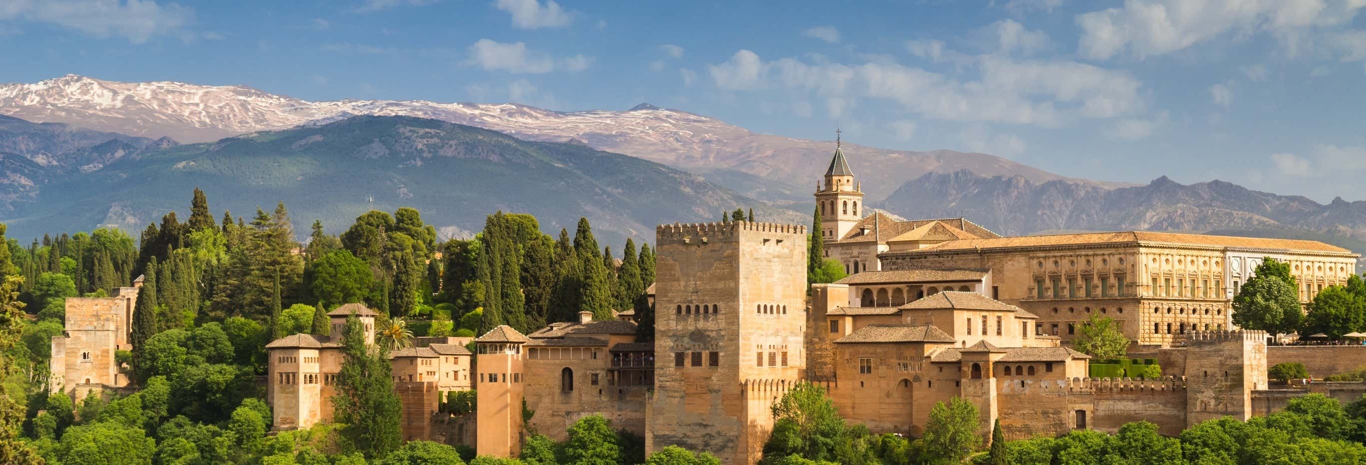 Excursión a Granada y visita a la Alhambra desde Aguadulce