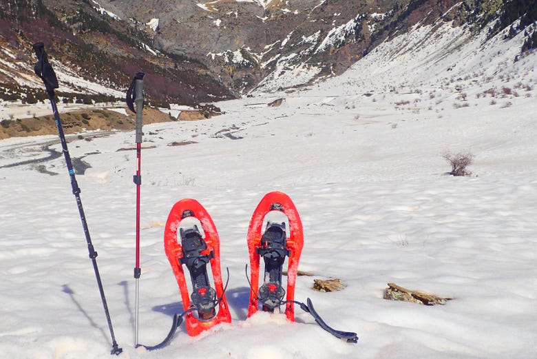 The snowshoes and poles