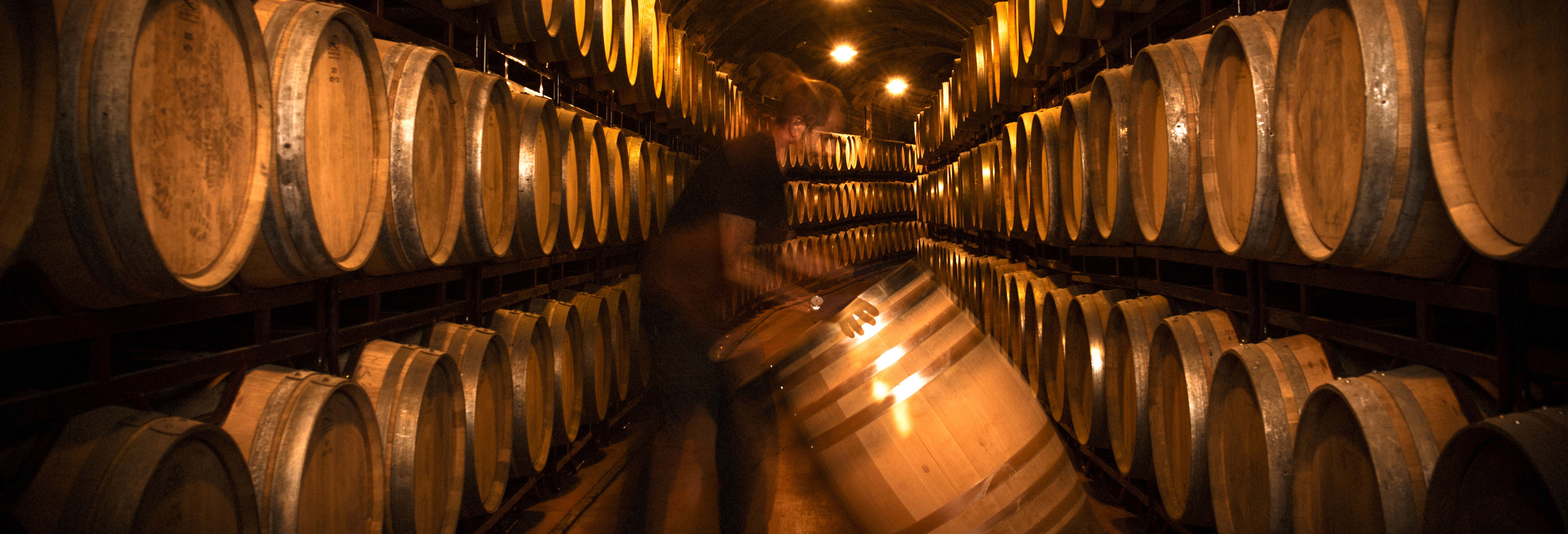 Visita a las bodegas Vinícola Real desde Albelda de Iregua