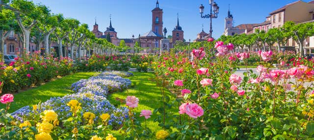 Tour privado por Alcalá de Henares