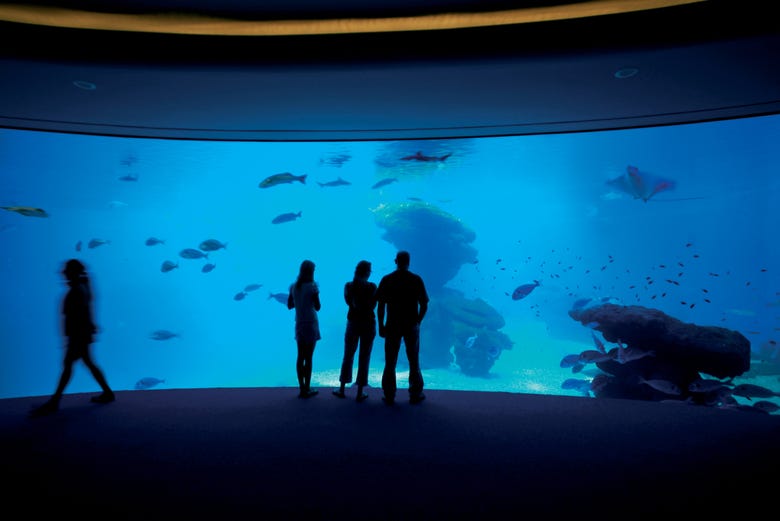Visitando um dos aquários do Palma Aquarium